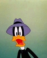 This is me as a duck in a hat