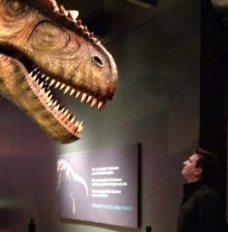 1962720_10203577001564582_780062720_n